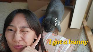 Life Update… I Adopted a Bunny