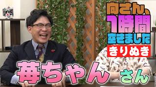 苺ちゃんの『1時間空きました』を10分切り抜きました
