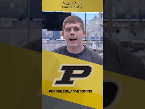 Pre-Med at Purdue? Yes please!