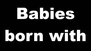 I Declare War - Federal Death Alliance (Lyrics Video)