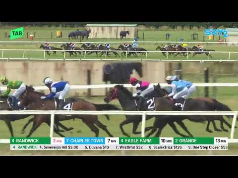 Southland Guineas 2026 - HELLO HAYLEY (3YO SW LR) Listed Ascot Park NZ 14 February