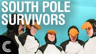 The Hard Life Of A Male Penguin