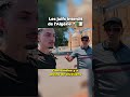 Les Juifs Interdit En Algérie