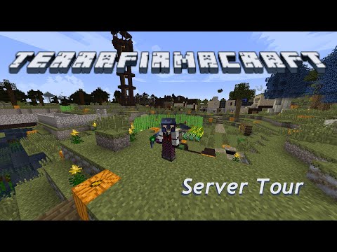 TerraFirmaCraft Reloaded: Server Tour!