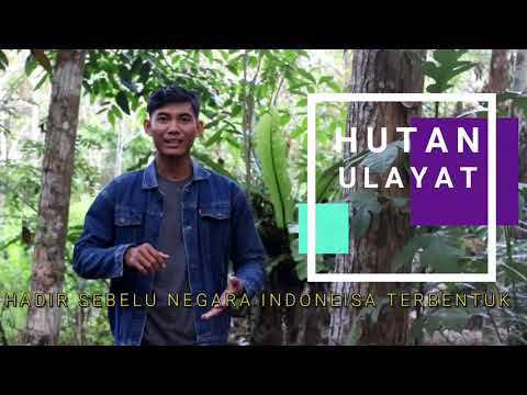 HUTAN  RIMBA ULAYAT ORANG DAYAK....WARISAN LELUHUR