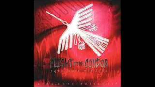 Flight of the Condor - 09. Flight of the Condor