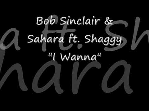 Shaggy Say Shaggy in Bob Sinclair's "I Wanna"! (ft. Shaggy and Sahara)