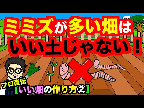 菜園のミミズはすぐに腐植質の黒い金の庭師を生産します