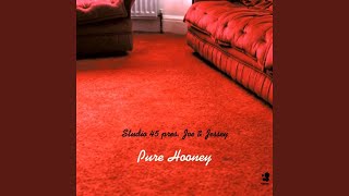 Pure Hooney (Studio 45 Remix)