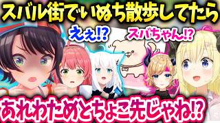 スバルいぬち散歩行ったらわためちょこ先と出会い皆で散歩した話【大空スバル/ホロライブ】