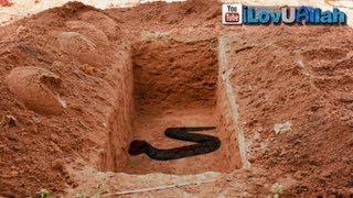 Snake in the grave, Islamic reminder about a true story that took place many years ago to the governer of Isntanbul.. (the...