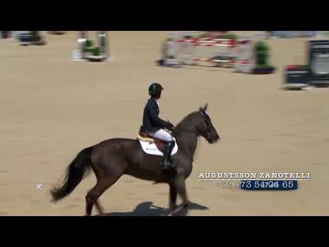 Extra Van Essene Winning 1,50m Class GCT Shanghai CSI*****