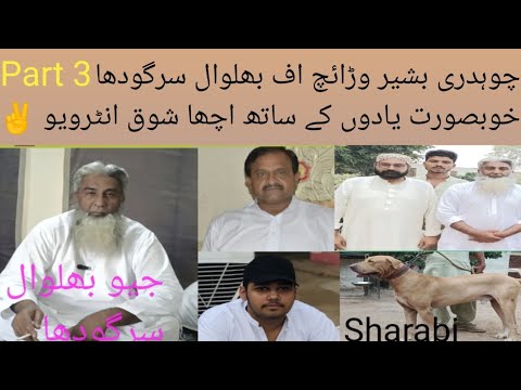 Very Good Interview Of Ch Bashir Waraich Bhalwal Sargodha Naib Sader Pak Punjab Group #doglover