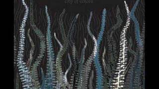 Pelican - A Delicate Sense of Balance