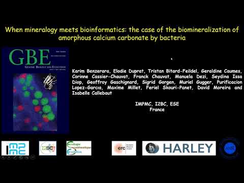 Seminar - CaCO3Biomin-Calcyanine - K. Benzerara