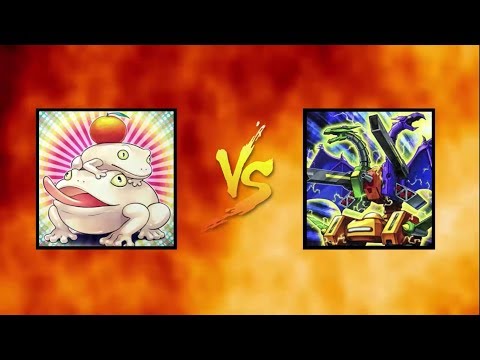 PaleoFrog VS ABC | Duelo en vivo