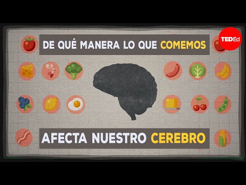 Cómo nuestra alimentación afecta al cerebro - Mia Nacamulli