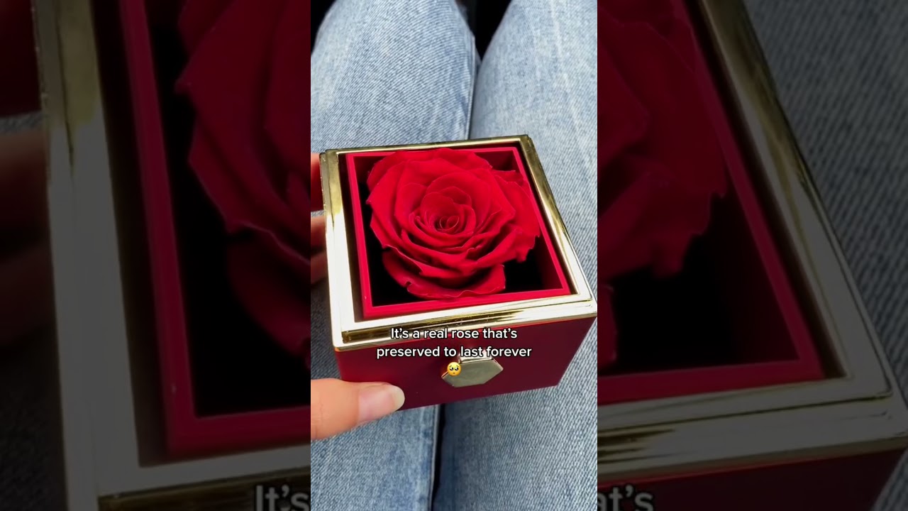 🎁🌹 Make her fall in love with you with this rotating preserved rose jewelry box | Pawsomestyle
