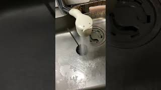 偶然なったので急遽撮影😁