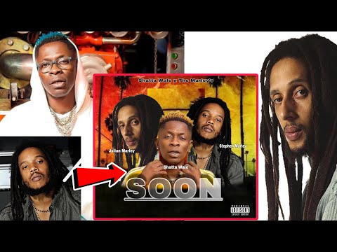 O.M.G😳 Shatta Wale x The Marley's, see how this collaboration happen