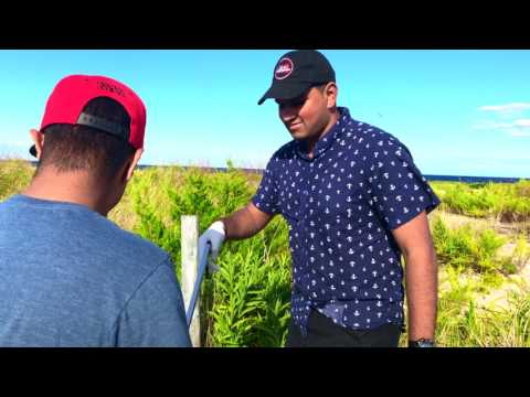 "We Can See" Environmental Project by Arjun, Shreyaas, Ajay, and Ashrith