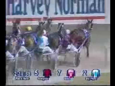 2005 Inter Dominion Pacing Championship Grand Final