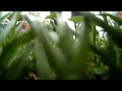 MongoTV_622 - Part 2 Mongo Drones - Test - Syma 5C - Syma 8C Transmitter - 808 #16 V3 Spycam