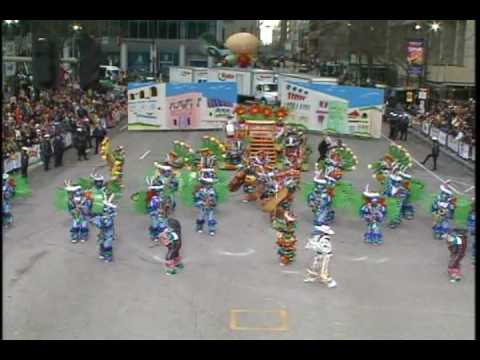 Trilby String Band 2010 Mummers Parade Wide Angle