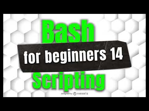 Writing Your First Bash Script In Linux | Bash For Beginners 14