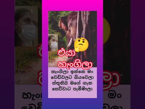 අග්බෝගේ කව poem #shortsvideo 😪😪😪