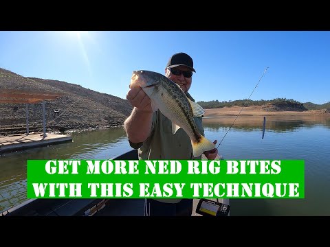 Get More NED RIG Bites with this Easy Technique