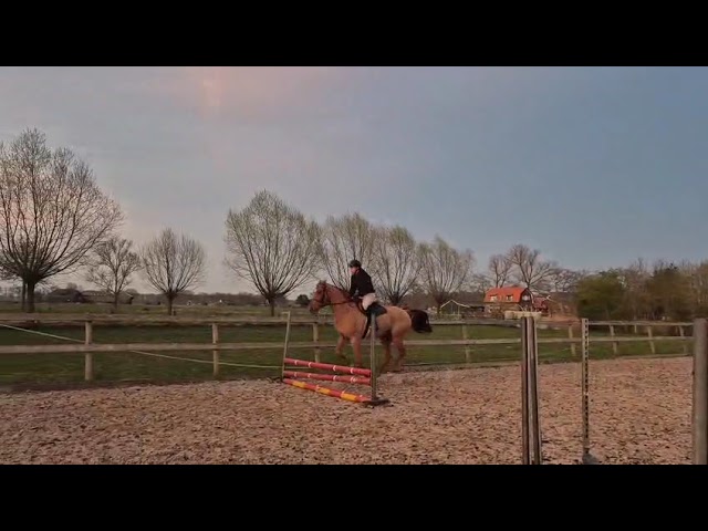 Riding and jumping movie at home Ross K.