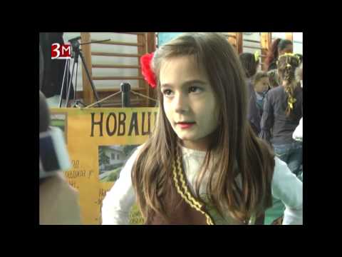 Dnevnik TV 3M Ub - Asfalt u Kožuaru i sajam zimnice i kultura 10.11.2016.god.