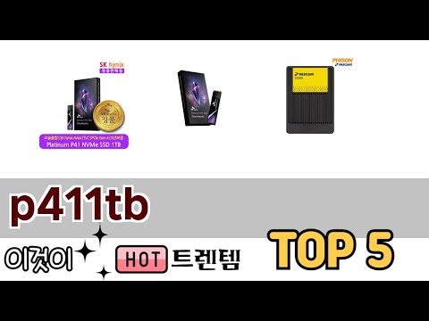 소비자가 선호하는 p411tb TOP 5 가격, 후기, 구매정보