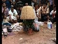 Cherpulassery Shamsudheen S Masterpiece Magic Making Mango Tree In Magic