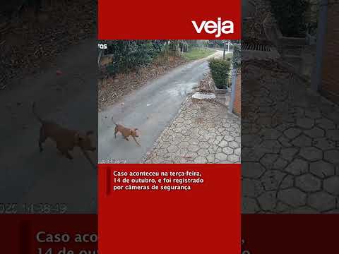 Na semana passada, em Itupeva, no interior do estado de São Paulo. #noticias #crime #pmsp