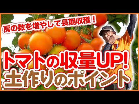 エッグシェルトマト用のコーヒー粉の量