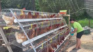 Download lagu Pengawa Rumah panjai betupi ke manuk teluk.Rindu bekumpul ke teluk..🥚🥚🥚 mp3