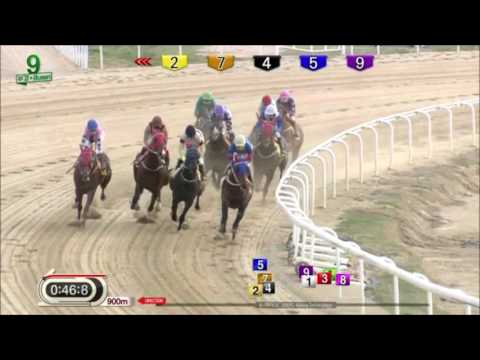 King Of Ace - April 14 2017 (English)