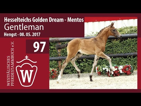 97 Gentleman Hengst v. Hesselteichs Golden Dream -  Mentos