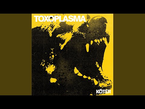 Köter - Toxoplasma
