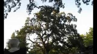 Hot Club of San Francisco