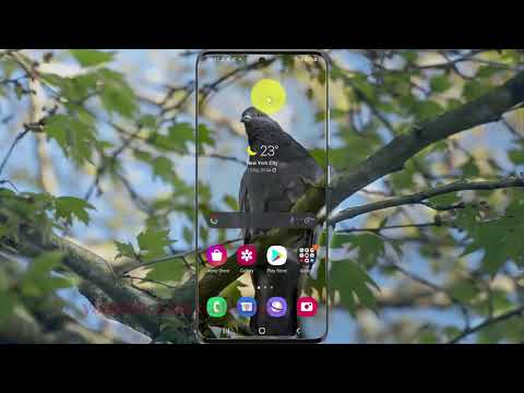 How to reset app preferences in Samsung Galaxy S21, S21Plus, or S21 Ultra