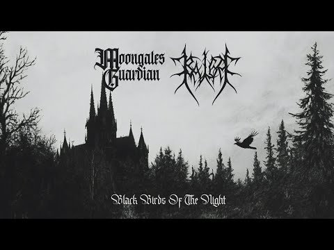 Moongates Guardian & Balga - Black Birds Of The Night (Full Split 2025)