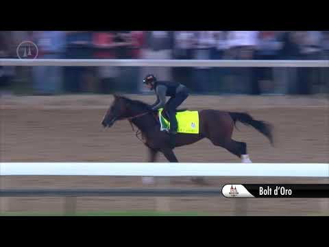Bold d'Oro Gallop dirty 5.2.18