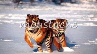 LATIMORE.. I GET LIFTED