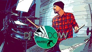 Mambo - DJ Shadow [Drum Remix]