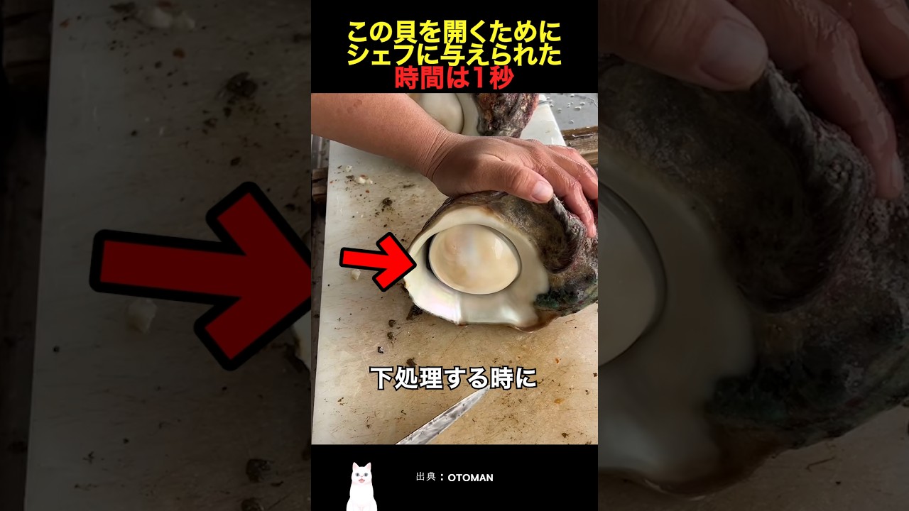 この貝を開くためにシェフに与えられた時間は1秒