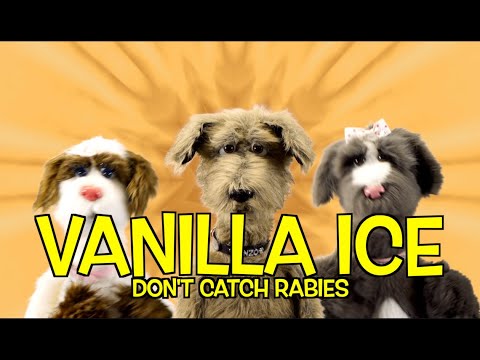 VANILLA ICE - ICE ICE BABY (DON'T CATCH RABIES)