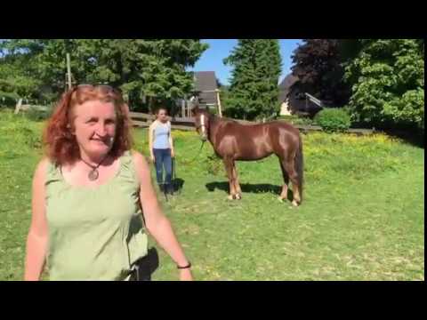 Als Diagnose: Parellis Sieben Spiele in sieben Minuten